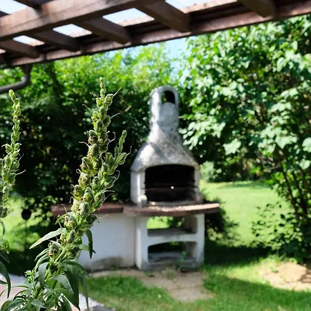 Gaestehaus Reingruber Appartement Ried im Traunkreis